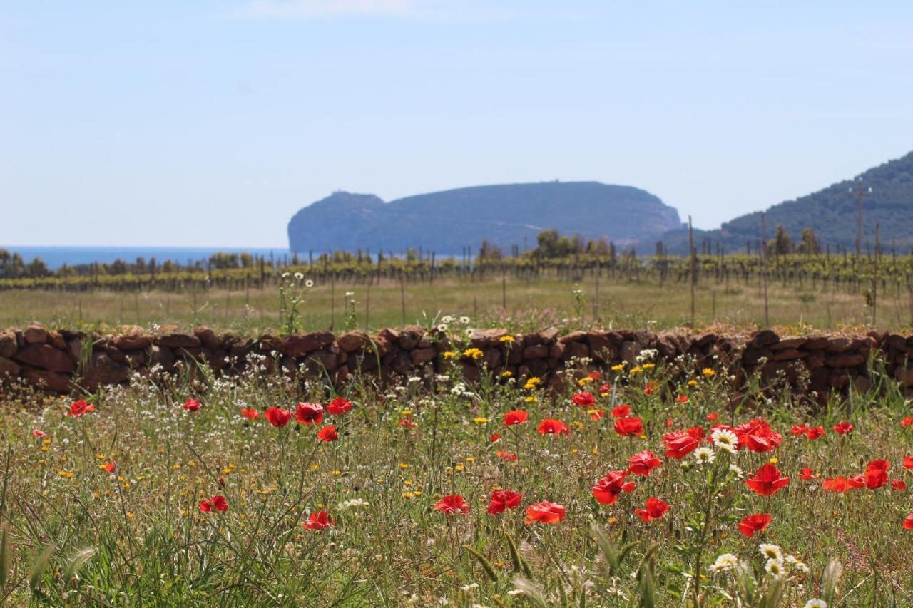 Agriturismo Graziano E Barbara Porto Conte Ngoại thất bức ảnh