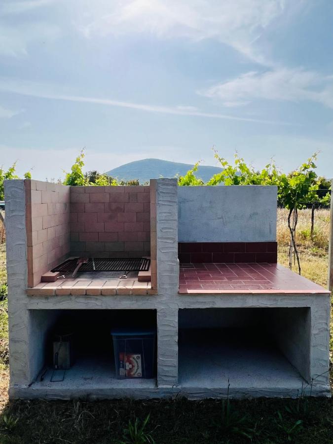 Agriturismo Graziano E Barbara Porto Conte Ngoại thất bức ảnh
